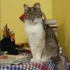 Отзыв от Елизавета Пирогова